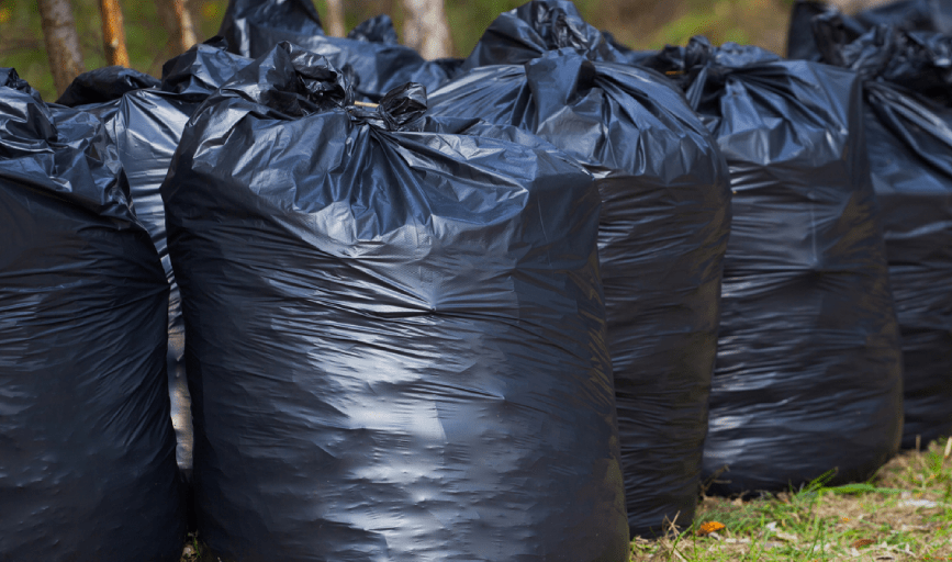 Yard Waste Removal